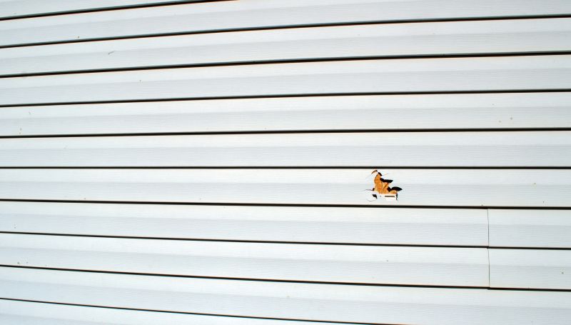 Weather-Resistant Siding